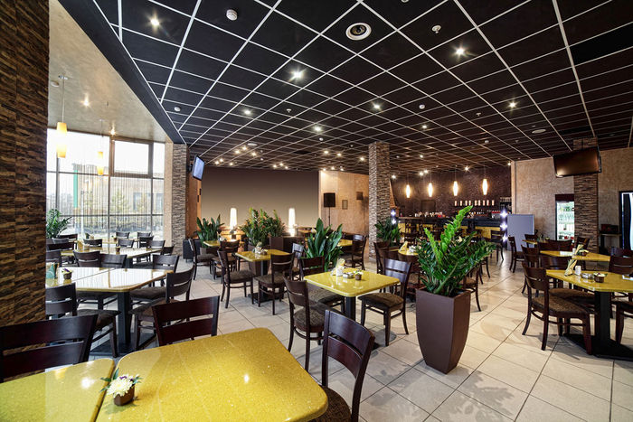 2x2 Black Restaurant Ceiling Tile