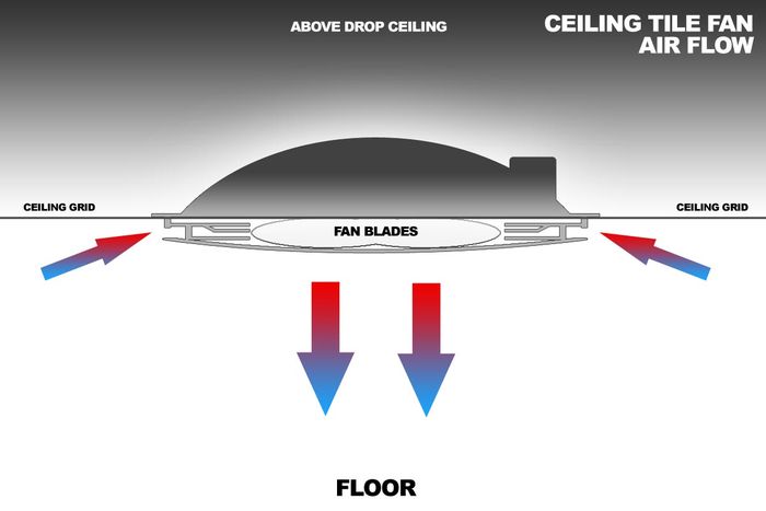 Drop Grid Ceiling Fan Airflow