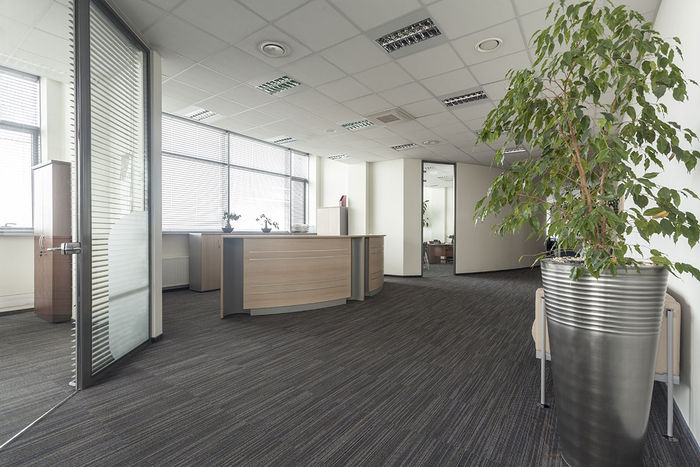 2x4 Acoustic Ceiling Tiles in Office